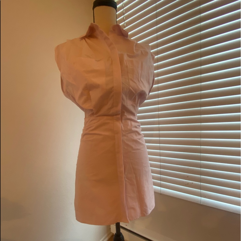 Pink Zara dress